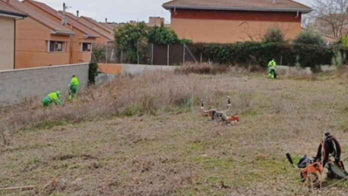 Paracuellos de Jarama inicia el desbroce de parcelas municipales