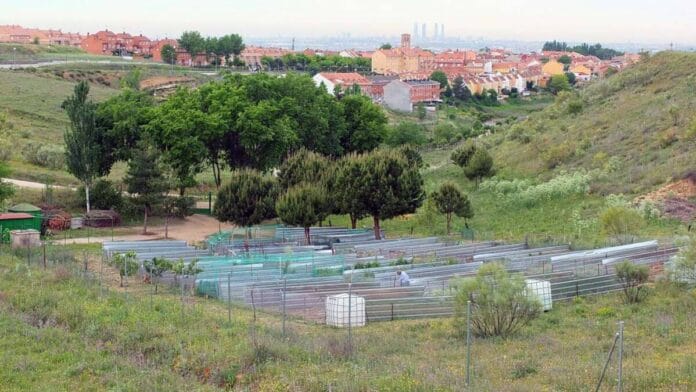 HUERTOS MUNICIPALES PARACUELLOS DE JARAMA