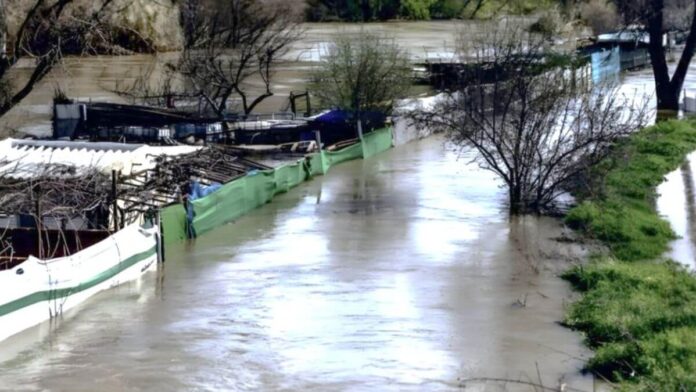 crecida del río Jarama chamizos