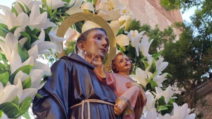 fiestas san anton paracuellos 2026